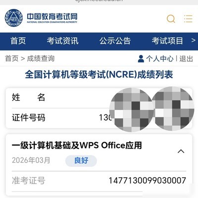 计算机一级WPS备考经验分享