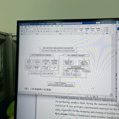 PPT技术路线图直接粘贴到Word