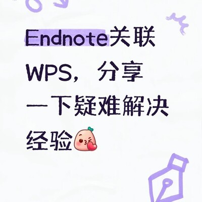 EndNote21与WPS关联教程