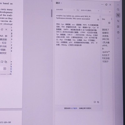 WPS划词翻译缩小框问题