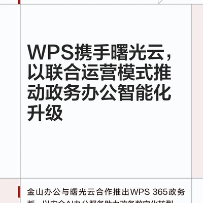 WPS与曙光云共推政务智能办公