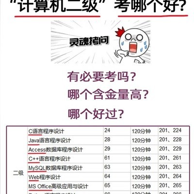 计算机二级科目选择指南