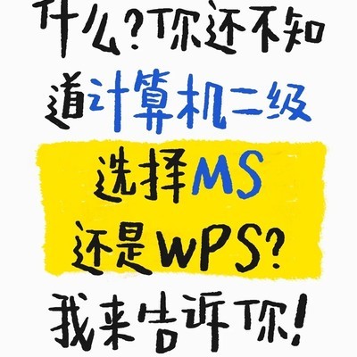 计算机二级MS与WPS选择指南