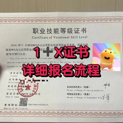 1+X WPS证书报考指南