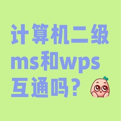 二级考试WPS与MS互通吗