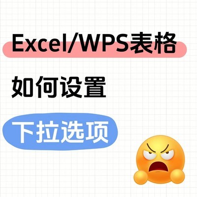 Excel/WPS下拉选项设置