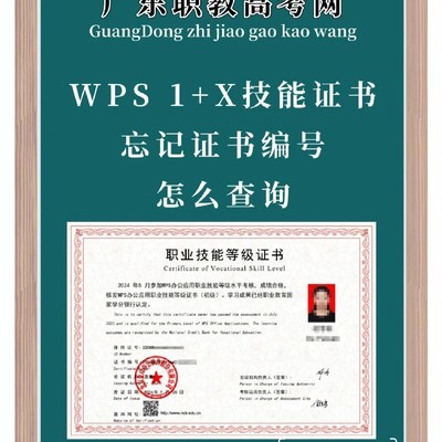 WPS 1+X证书编号查询方法