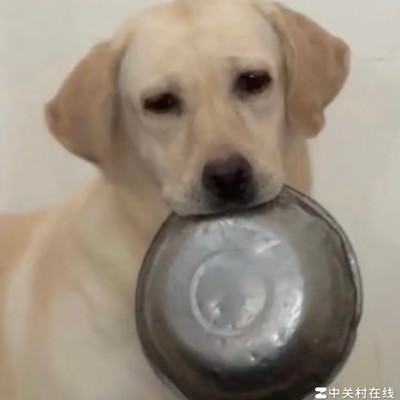 毕业生工作建议