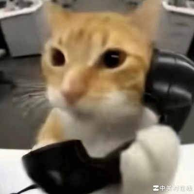 商K频率大讨论