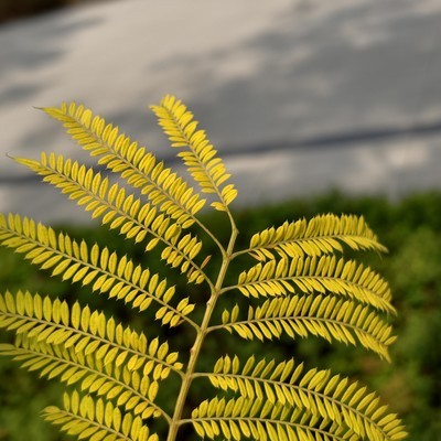 朋友退休退群引发的思考