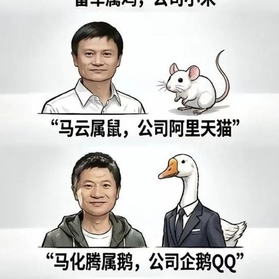 属兔取名话题
