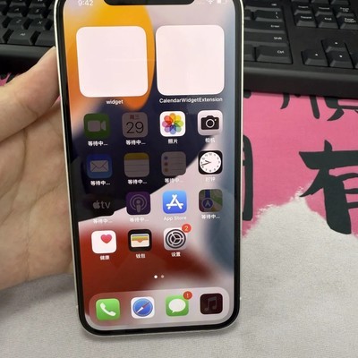 苹果手机连网无法使用网络