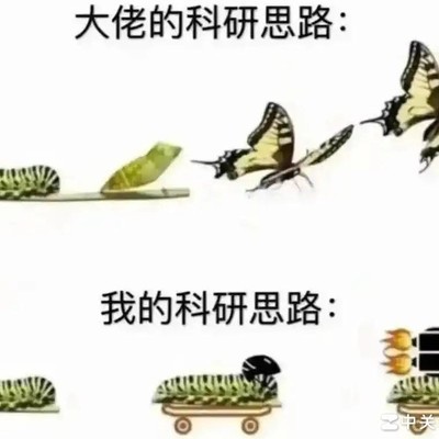 科研思路差异探讨
