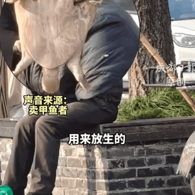 街头野生甲鱼骗局揭秘