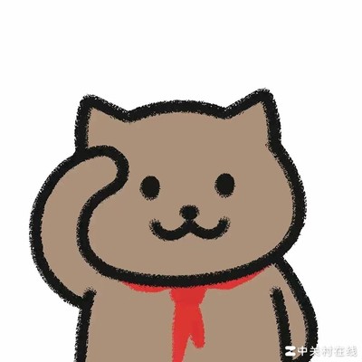 罗哥是足球场上的传奇吗？