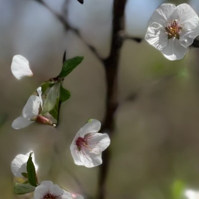 费斯汀格法则，稳定情绪的顶级思维