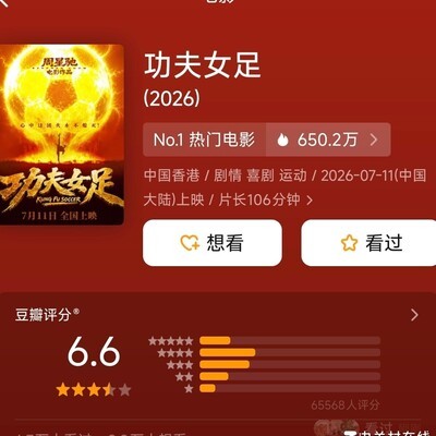 功夫女足网络6.6分合理吗