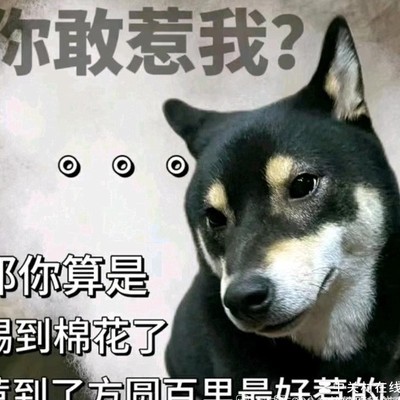 足球篮球球迷之争