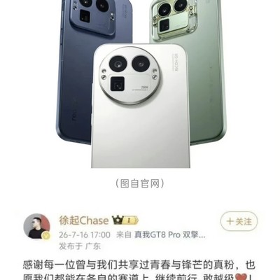 真我退出中国市场