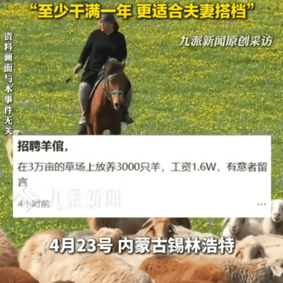 高薪牧羊引热议