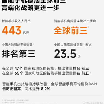 小米国内市场份额排名争议