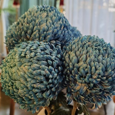 抑郁，内因还是外因？