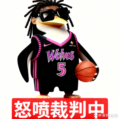 主场迎战，篮球激情绽放