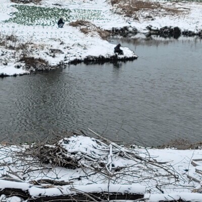 孤舟独钓寒江雪
