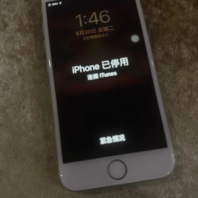 iPhone 6s忘密码停用求助