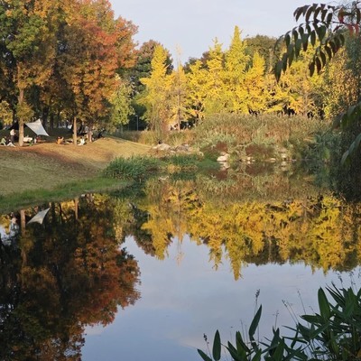 小米14 Pro拍照体验下滑