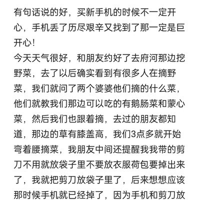 草原丢手机四重困境