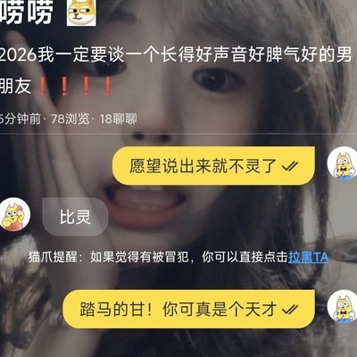 偶遇天赋怪，努力却难赢