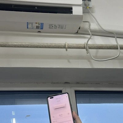 东林系统终于上线
