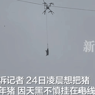 无人机运猪挂电线致村庄停电