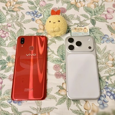 八年vivo X21退役记
