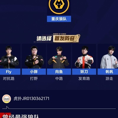 王者荣耀最强狼队传奇