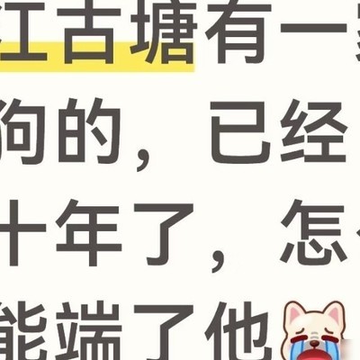 狗肉店经营之道