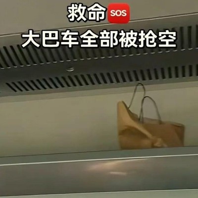 清明假期意大利游，大巴失窃游客遭殃