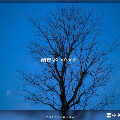 ColorOS16升级需多少经验？