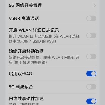 华为手机5G开关藏在开发者选项