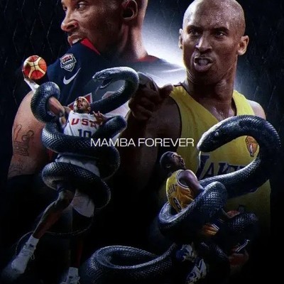 科比生涯，用一个成语如何评价？