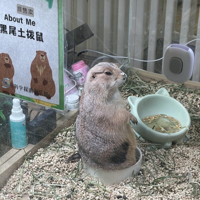 跟球友打球8次，顶不住了