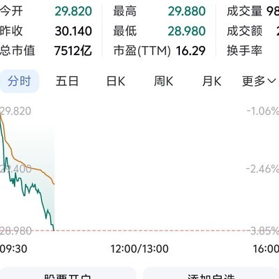 小米股价暴跌跌破29