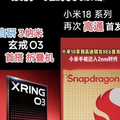 数码世界双命题成立之谜