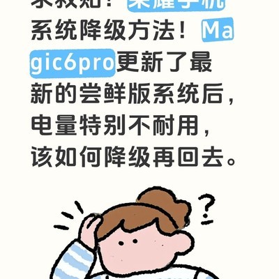 荣耀Magic6 Pro系统降级方法