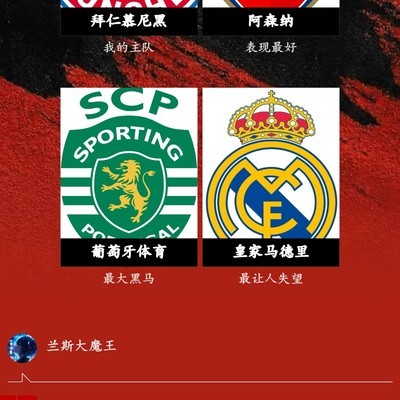 拜仁淘汰赛加油