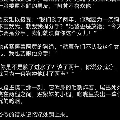 屠夫的骄傲，儿子比印第安纳琼斯强