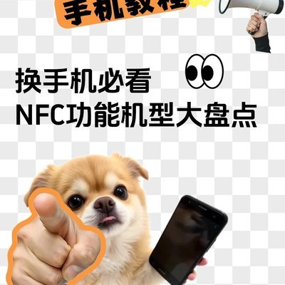 NFC手机机型全盘点