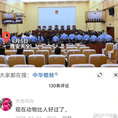网络逆天话术为何频现