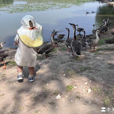 居家带娃如何增加收入
